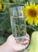 Rosemary Glass